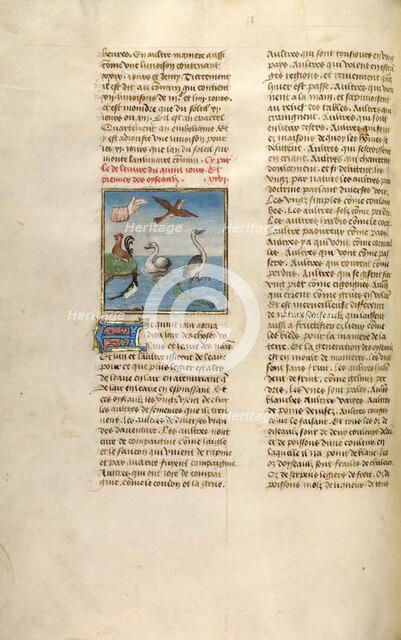 The Creation of Birds; Miroir Historial, about 1475. Creator: Unknown.