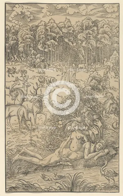 The Creation of Eve. Creators: Lucas Cranach the Younger, Workshop of Lucas Cranach the Younger.