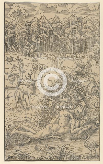 The Creation of Eve. Creators: Lucas Cranach the Younger, Workshop of Lucas Cranach the Younger.