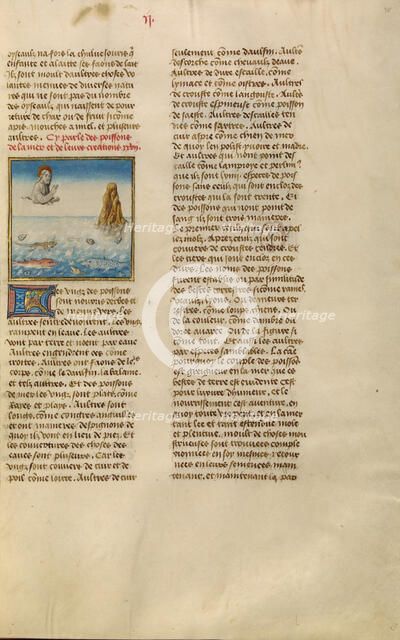 The Creation of Fishes; Miroir Historial, about 1475. Creator: Unknown.