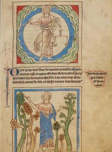 The Creation of Heaven and Earth: The Creation of the Trees; Northumberland Bestiary, about 1250-60. Creator: Unknown