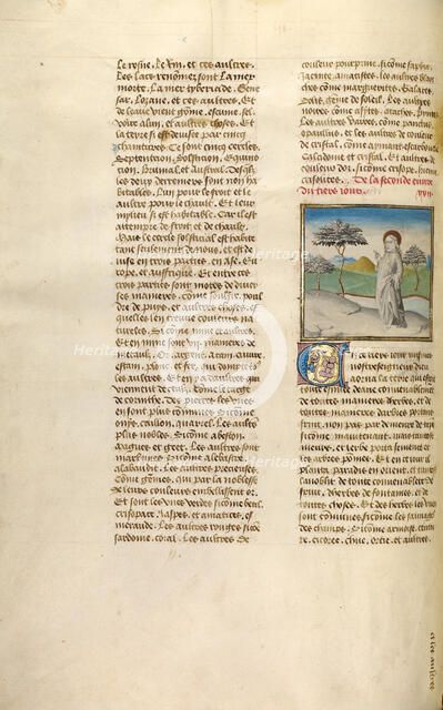 The Creation of Plants; Miroir Historial, about 1475. Creator: Unknown.