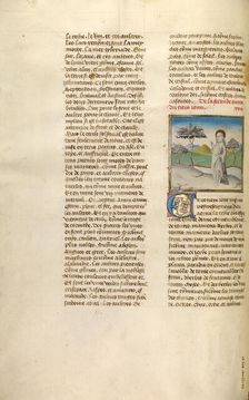 The Creation of Plants; Miroir Historial, about 1475. Creator: Unknown