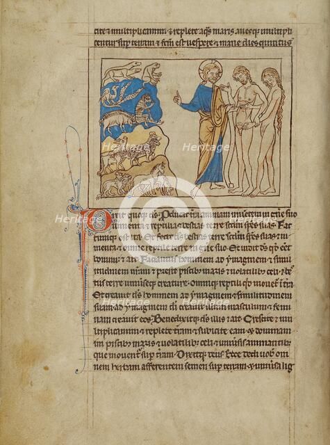 The Creation of the Animals and of Adam and Eve; Northumberland Bestiary, about 1250-1260. Creator: Unknown.