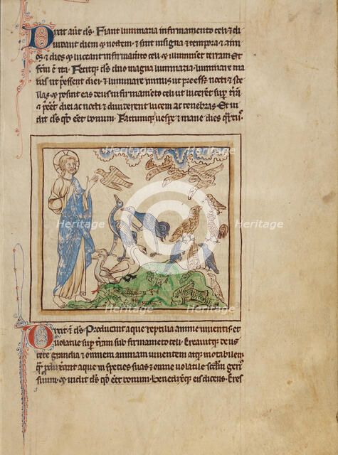 The Creation of the Birds and Fishes; Northumberland Bestiary, about 1250-1260. Creator: Unknown.