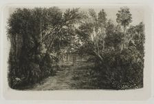 The Creek, 1880. Creator: Rodolphe Bresdin