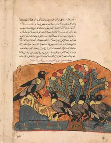 The Crow King Consults his Ministers, Folio from a Kalila wa Dimna, 18th century. Creator: Unknown