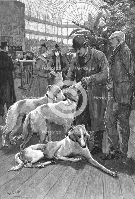 ''The Crystal Palace Dog Show -- Russian Wolf Hounds awaiting their turn to Enter the Ring', 1890. Creator: Unknown.