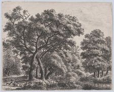 The Duck Hunter, 17th century. Creator: Anthonie Waterloo