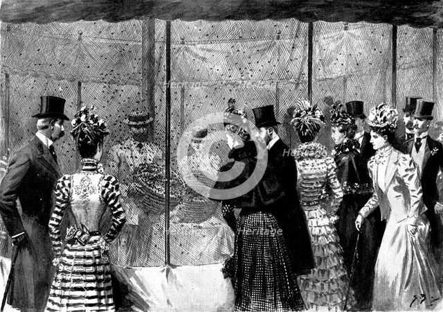 The Duke and Duchess of York at the Agricultural Show, Portsmouth: visiting the apiary, 1898. Creator: Unknown.