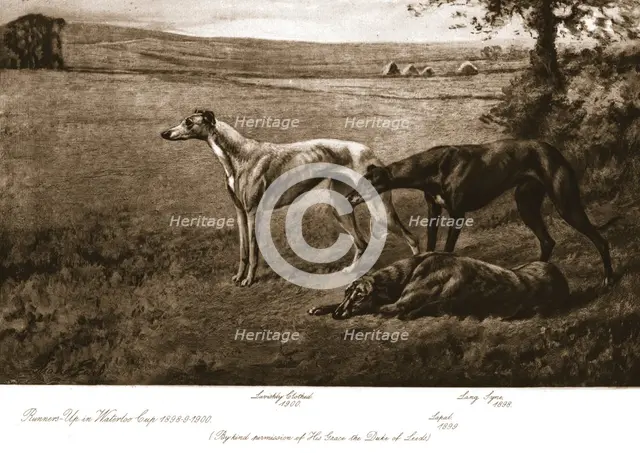 The Duke of Leeds' hounds, 1911. Creator: Maud Earl.
