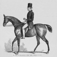 The Duke of Wellington, c1842 (1878)