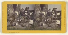 The dying Squirrel, with his Wife, Lawyer, Minister, etc., etc., 1870. Creator: Eugene S. M. Haines