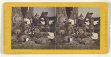 The dying Squirrel, with his Wife, Lawyer, Minister, etc., etc., 1870. Creator: Eugene S. M. Haines