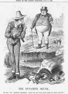 The Dynamite Skunk 1884. Creator: Joseph Swain