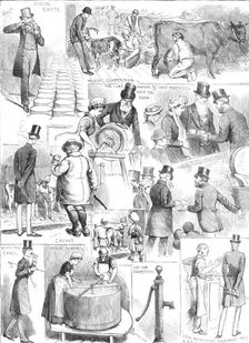 The Dairy Show at the Agricultural Hall, Islington, 1883. Creator: Unknown