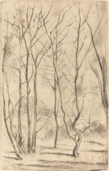 The Dam Wood, 1875. Creator: James Abbott McNeill Whistler