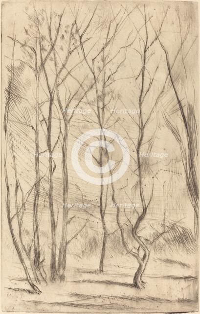 The Dam Wood, 1875. Creator: James Abbott McNeill Whistler.