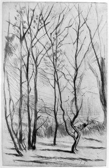 The Dam Wood c1875 (1904).Artist: James Abbott McNeill Whistler