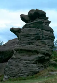The Dancing Bear, Brimham Rocks