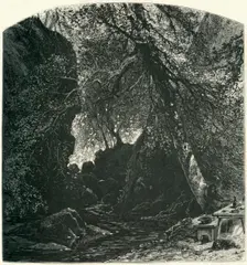 The Dargle c1870