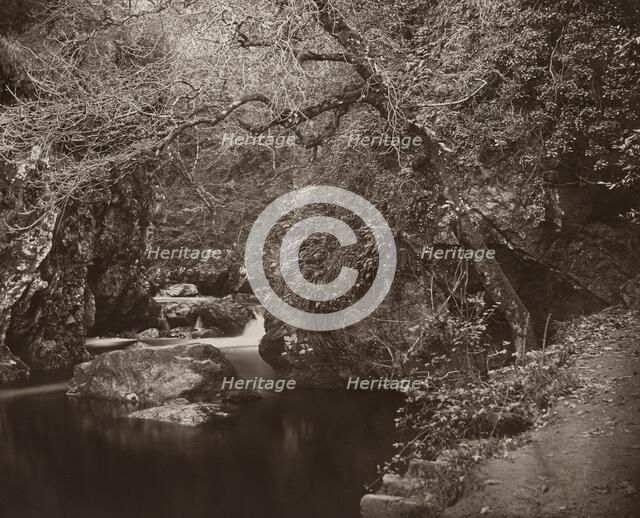 The Dargle Hole, c. 1865. Creator: Thomas Marcus Brownrigg.