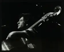 The Daryl Runswick Quartet in concert at The Stables, Wavendon, Buckinghamshire, 1981. Creator: Denis Williams