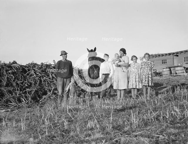 The Daugherty family, FSA borrowers, Warm Springs district, Malheur County, Oregon, 1939. Creator: Dorothea Lange.