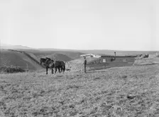 The Daugherty home, Warm Springs district, Malheur County, Oregon, 1939. Creator: Dorothea Lange