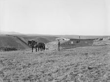 The Daugherty home, Warm Springs district, Malheur County, Oregon, 1939. Creator: Dorothea Lange