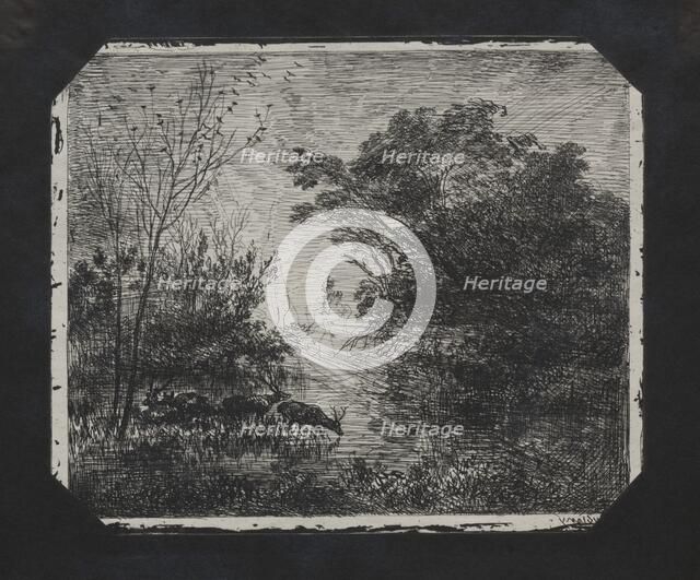 The Deer, 1862. Creator: Charles François Daubigny (French, 1817-1878).