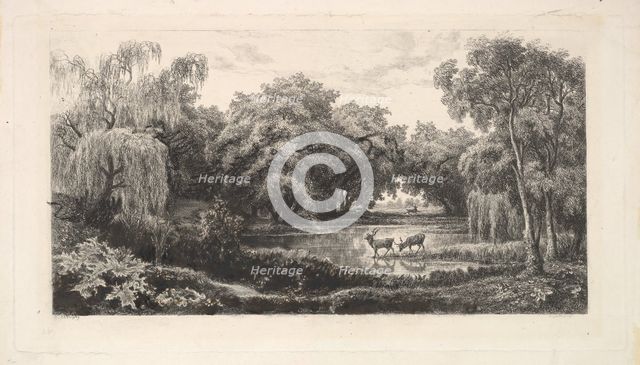 The Deer Pond, 1837-78. Creator: Charles Francois Daubigny.