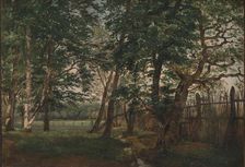 The Deer Park North of Copenhagen, 1844. Creator: Dankvart Dreyer