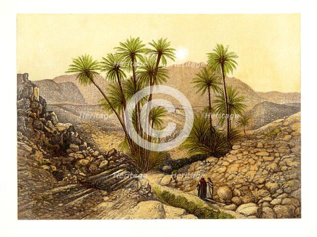The Desert of Sinai, Egypt, c1870.Artist: W Dickens