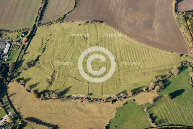 The deserted medieval village earthworks of Lower Ditchford, Aston Magna, Gloucestershire, 2016. Creator: Damian Grady.