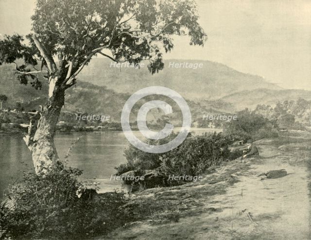 'The Derwent at New Norfolk', 1901. Creator: Unknown.