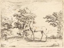 The Doe. Creator: Jacques Callot