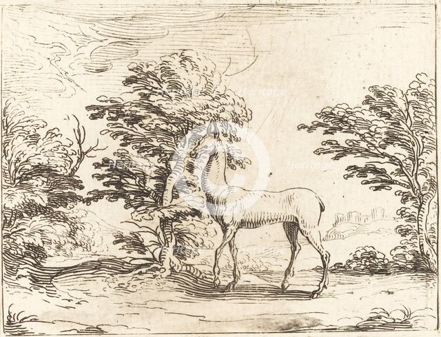 The Doe. Creator: Jacques Callot.