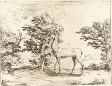 The Doe. Creator: Jacques Callot