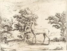 The Doe. Creator: Jacques Callot