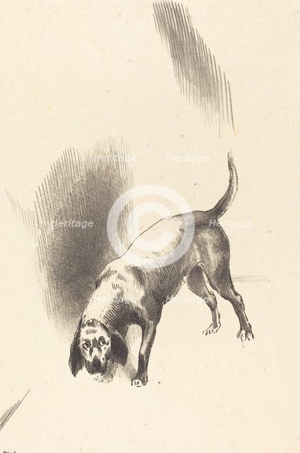 The Dog, 1896. Creator: Odilon Redon.