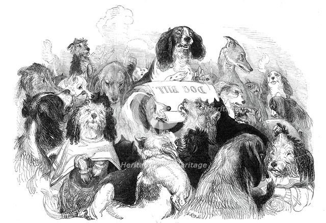The Dog Bill Committee, drawn by T. Landseer, 1844. Creator: Thomas Landseer.