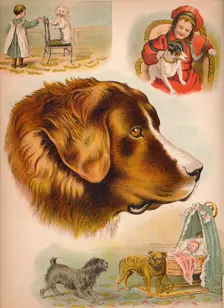 The Dog c1900. Artist: Helena J. Maguire