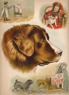 The Dog c1900. Artist: Helena J. Maguire