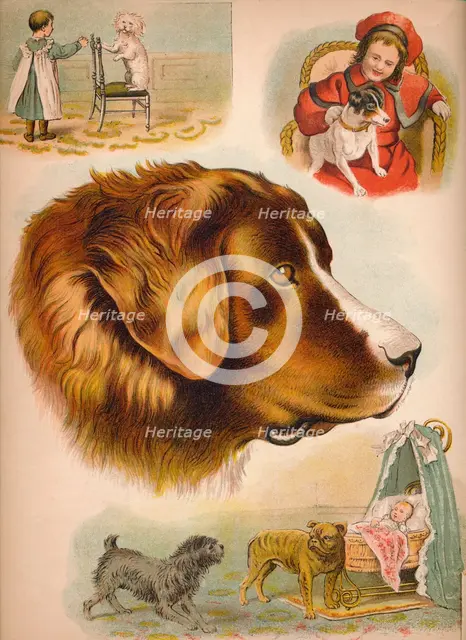 'The Dog', c1900. Artist: Helena J. Maguire.