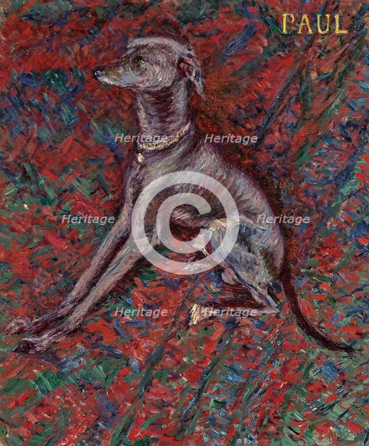The dog "Paul", c1886. Creator: Caillebotte, Gustave (1848-1894).