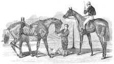 The Doncaster Winners: St. Leger - "Knight of St. George"; Doncaster Cup - "Virago", 1854. Creator: Unknown