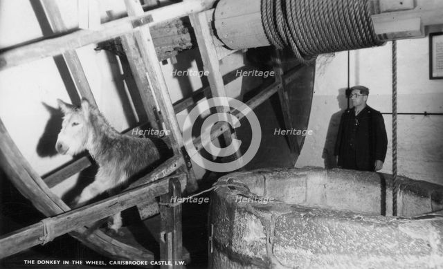 The donkey in the wheel, Carisbrooke Castle, near Newport, Isle of Wight, 20th century. Artist: Unknown