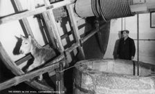 The donkey in the wheel, Carisbrooke Castle, near Newport, Isle of Wight, 20th century
