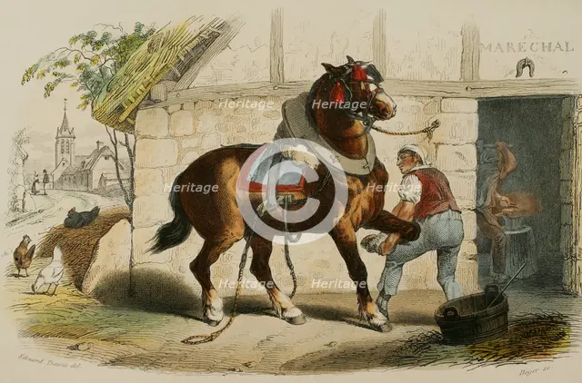 The draft horse, 1856. Creator: Edouard Travies.